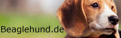beaglehund_de_banner
