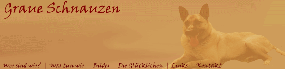 graue_schnauzen_banner